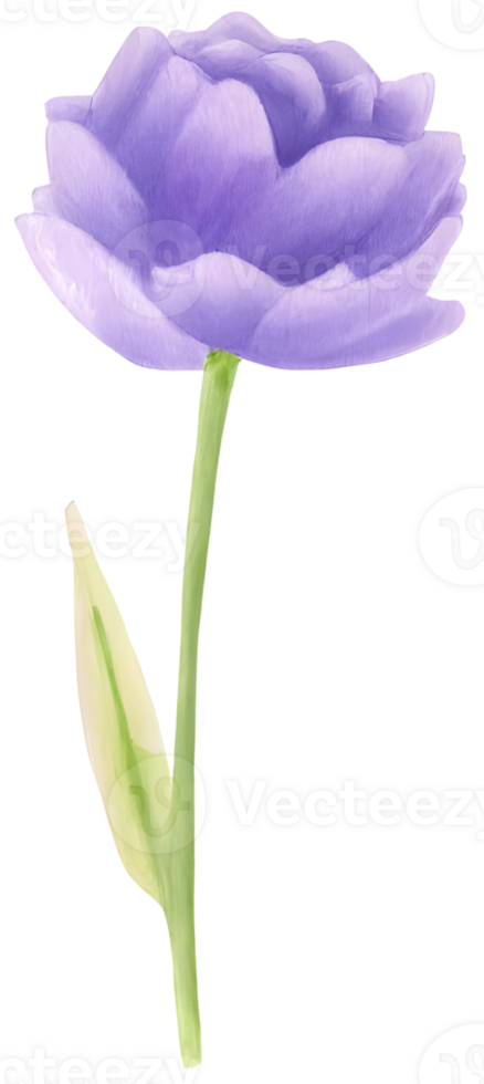 AI generated a flower for decoration. png