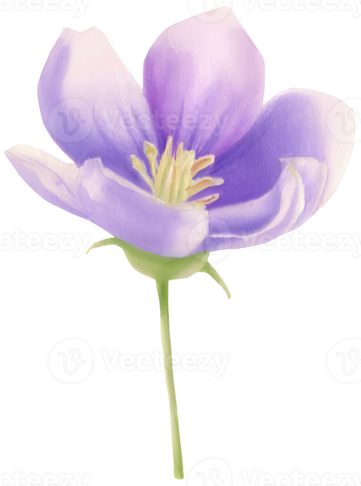 AI generated a flower for decoration. png