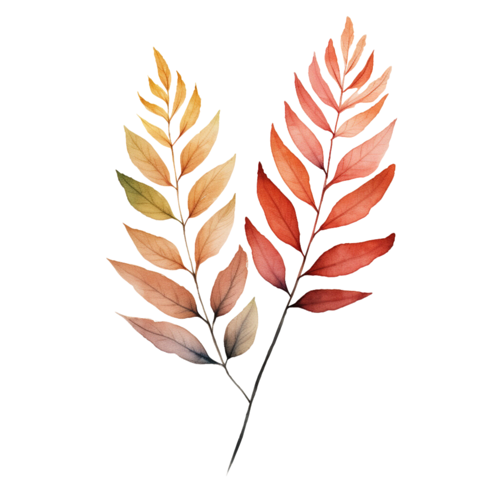 AI generated watercolor eucalyptus leaves on transparent background png