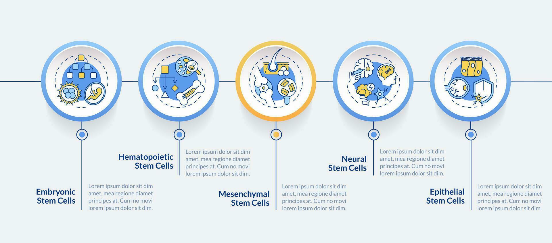 2D cell therapy vector infographics template with multicolor linear icons concept, data visualization with 5 steps, process timeline chart.