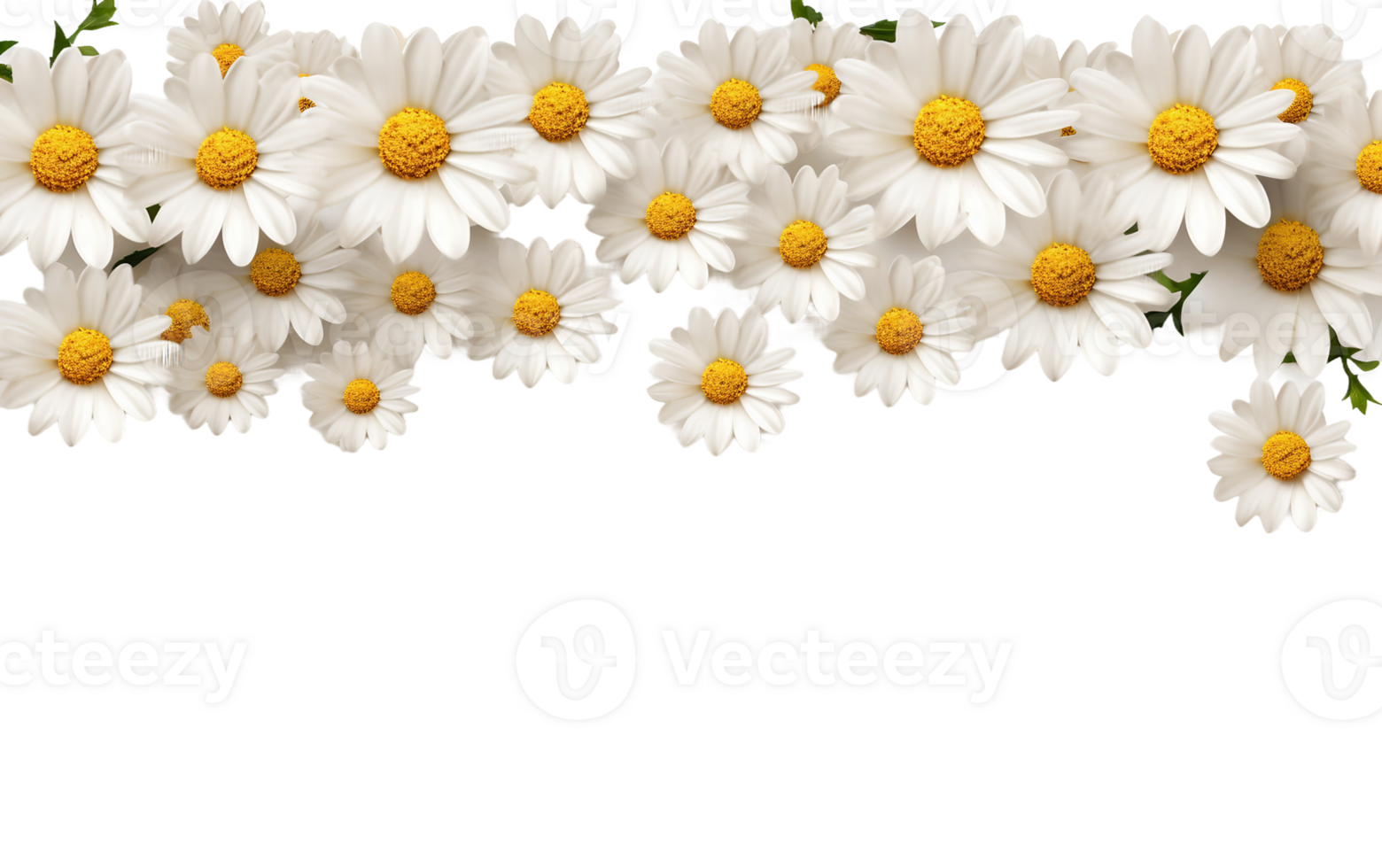 AI generated Daisy Chain with Petals png