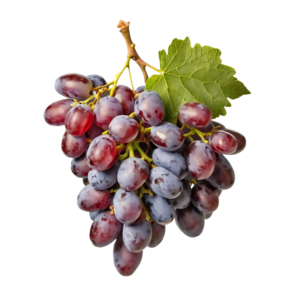 AI generated A bunch of red grapes isolated on a transparent background png