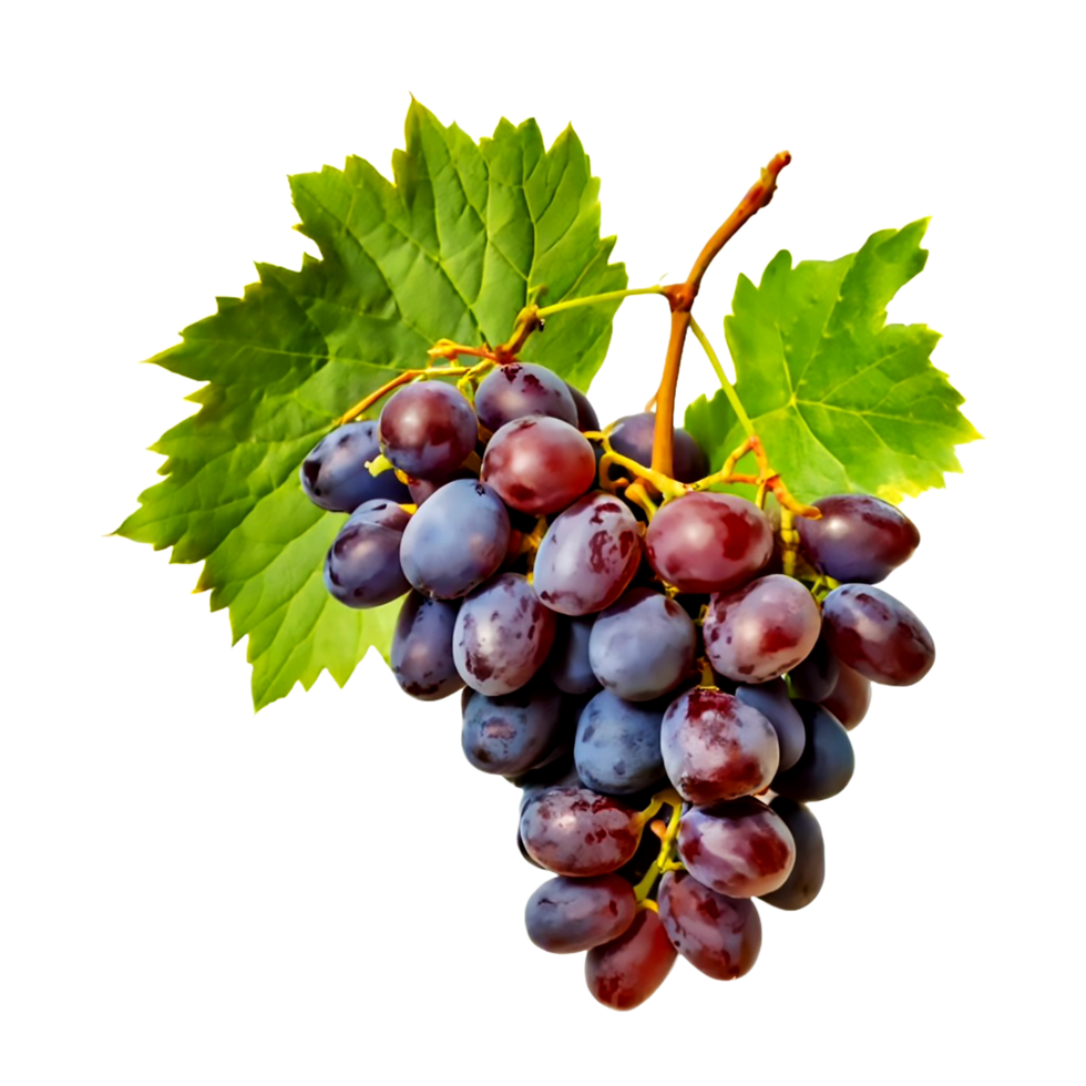 AI generated Red grapes isolated on a transparent background png