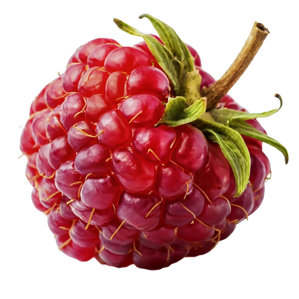 AI generated Raspberry isolated on a transparent background png