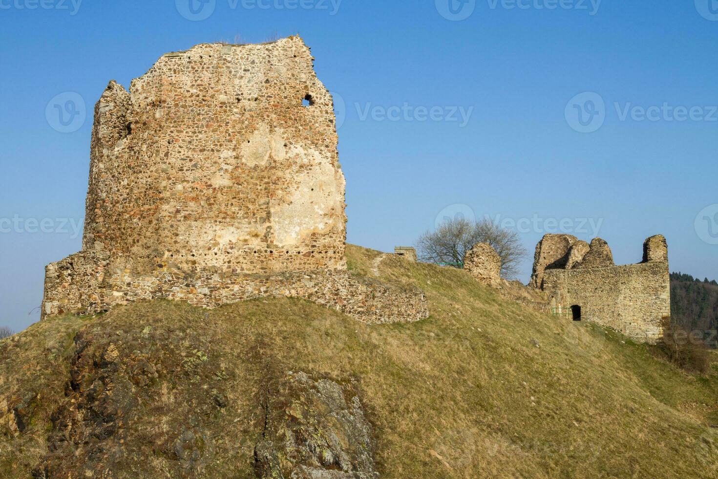 Ruins of Lichnice Castle, Czech Republic photo