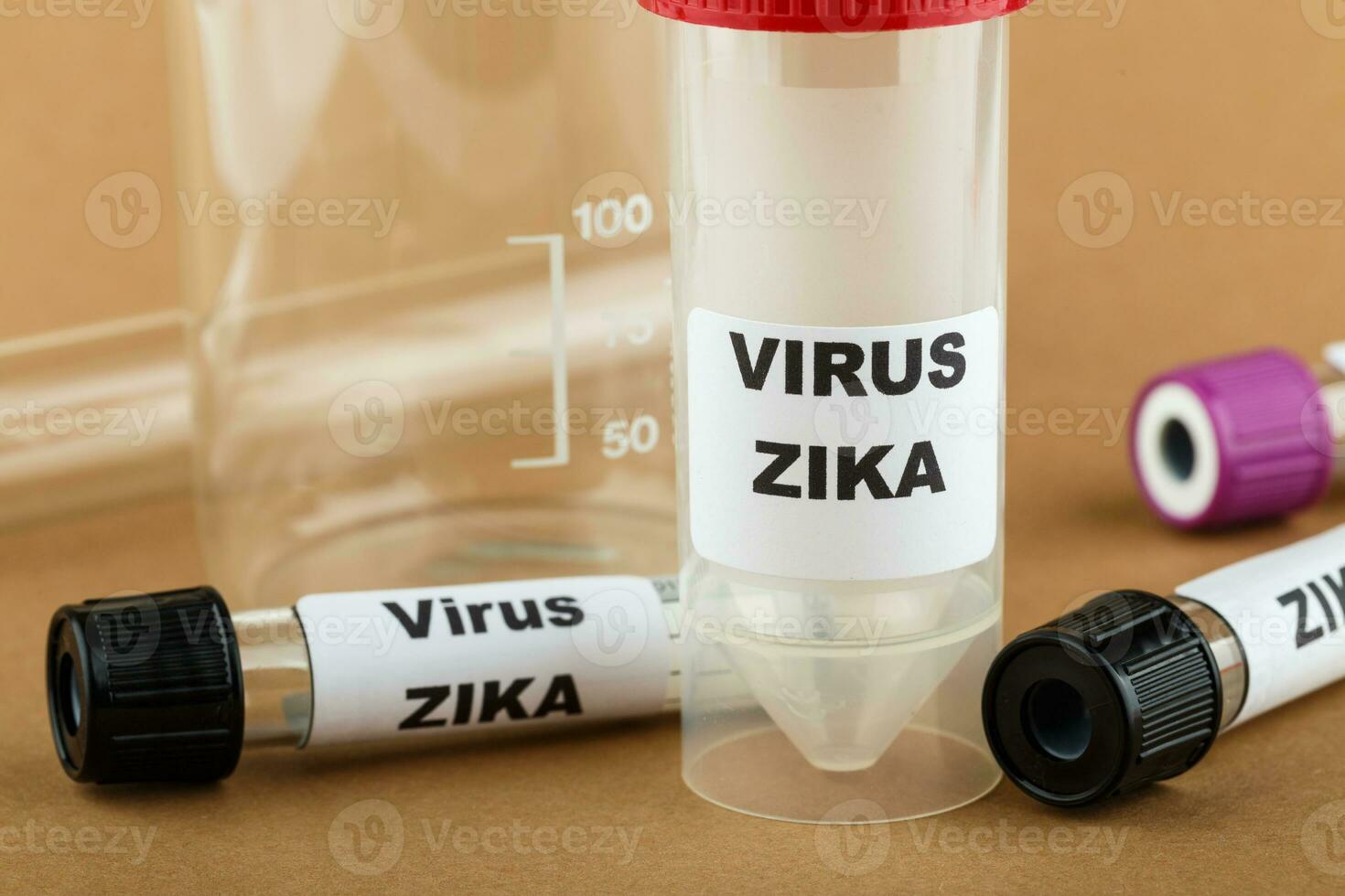 Zika virus concept photo with test tube