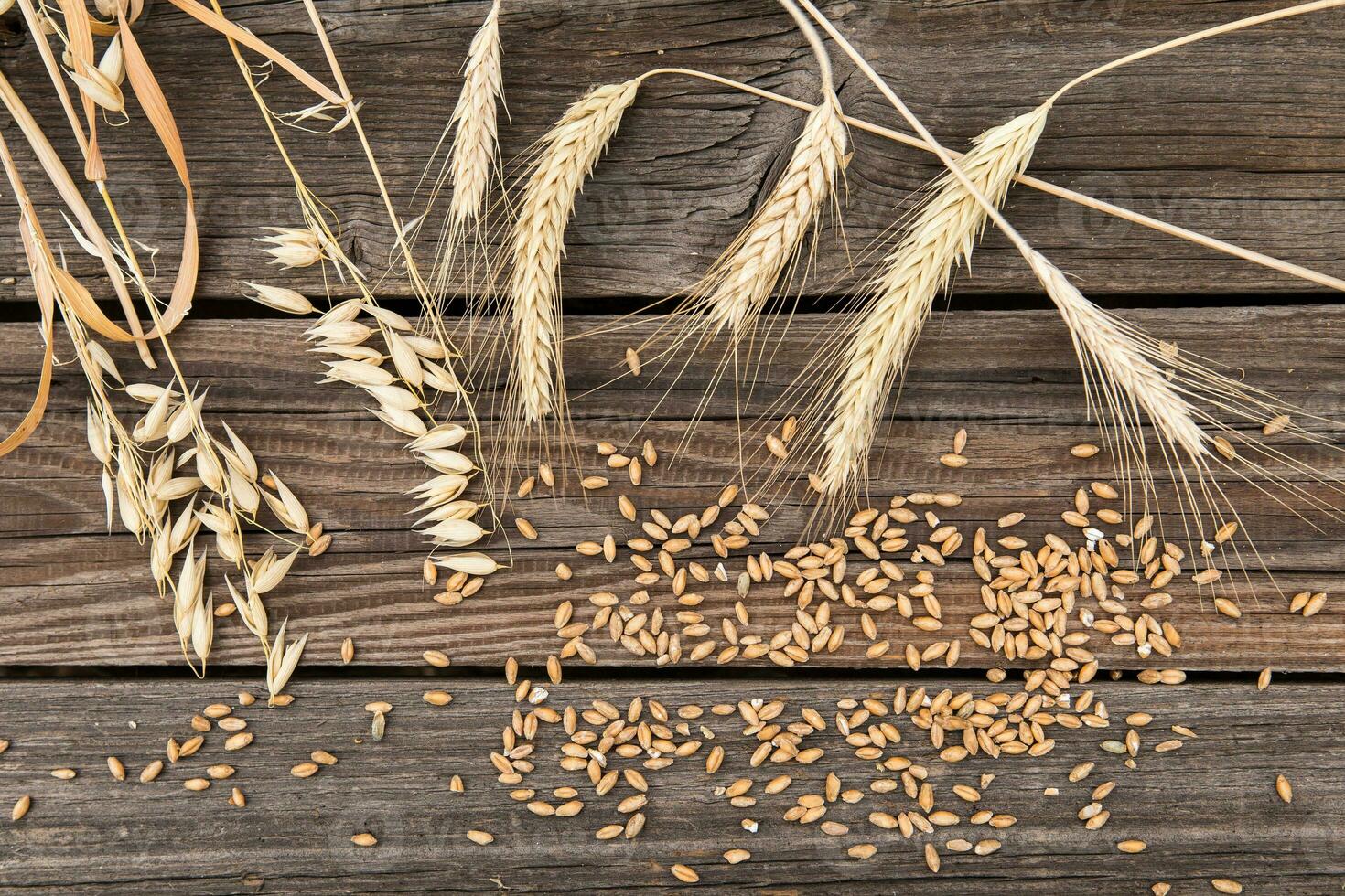 Ears of wheat on old wooden table photo