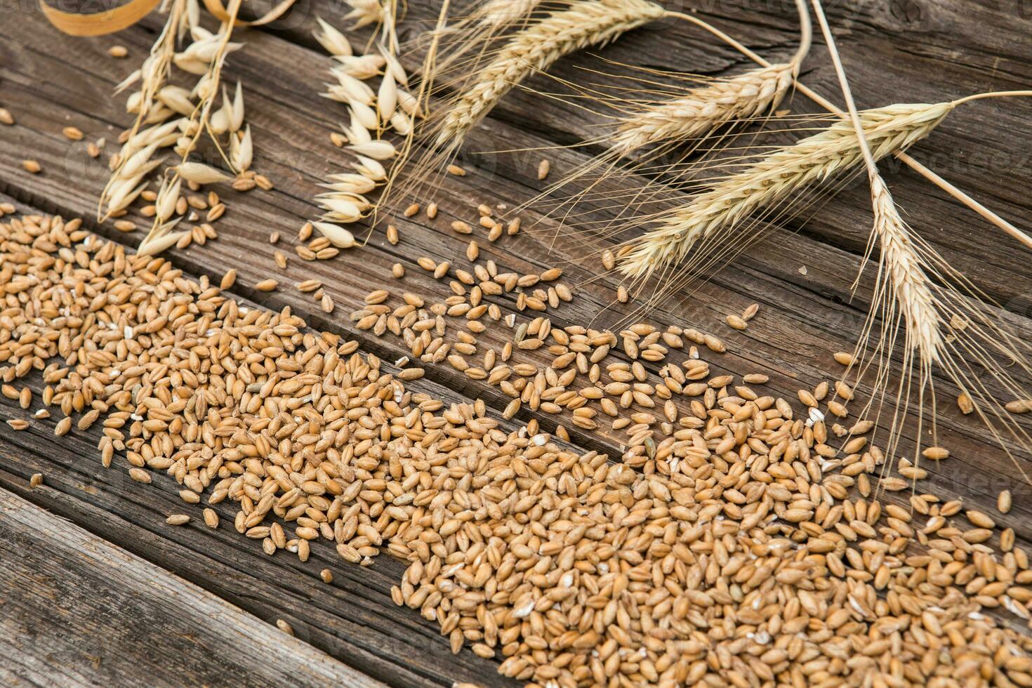 Ears of wheat on old wooden table photo