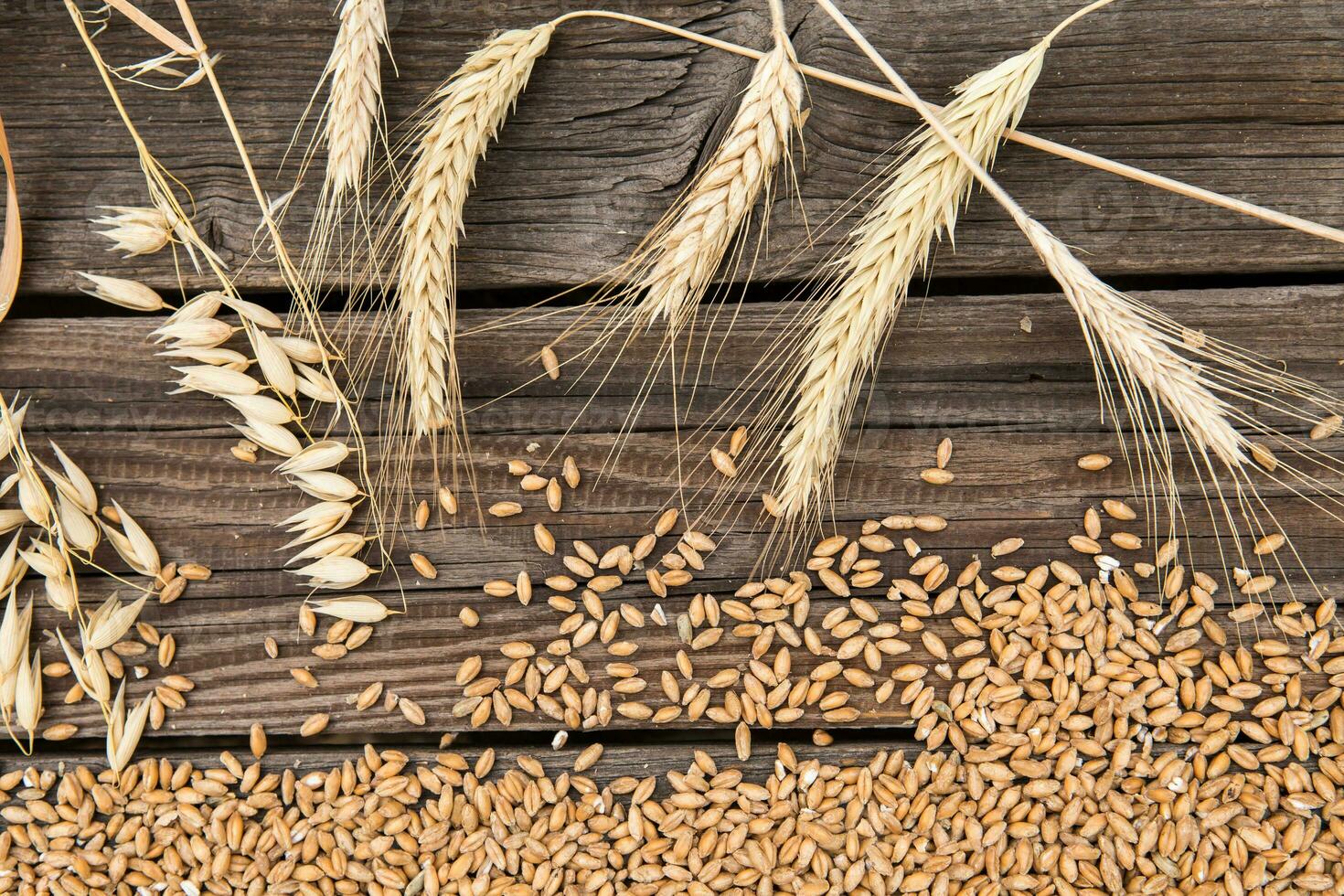 Ears of wheat on old wooden table photo