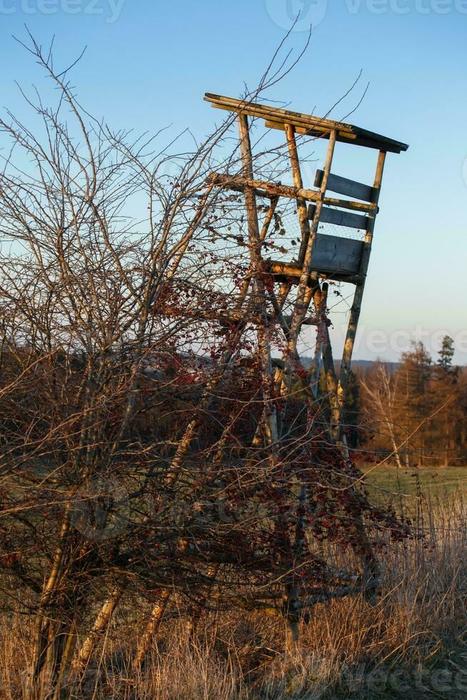 Hunting tower in forest photo