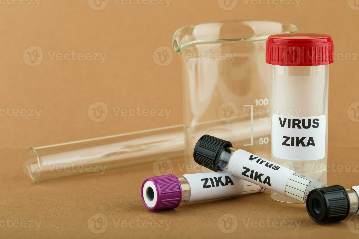 Zika virus concept photo with test tube