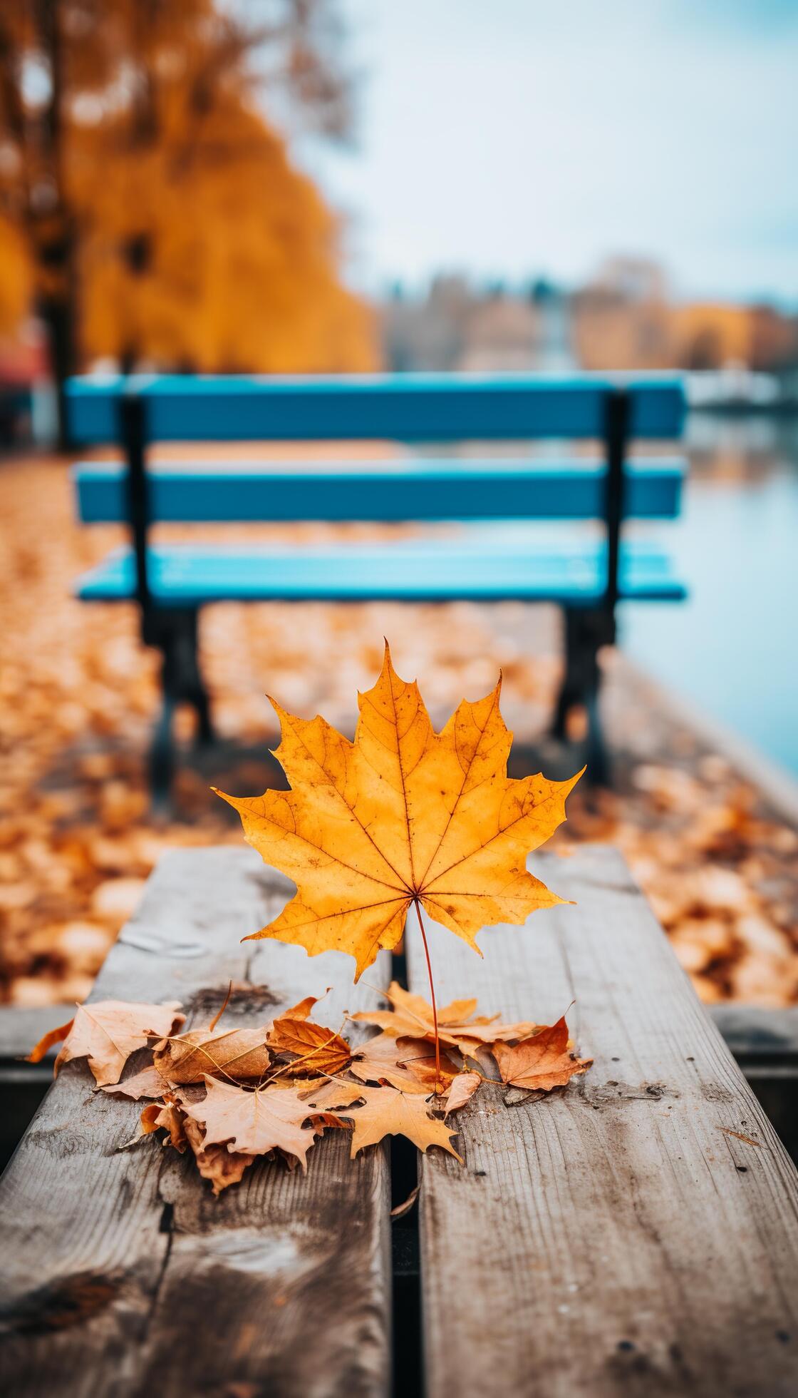 AI generated 4K colorful leaf AMOLED wallpaper 36086749 Stock Photo at