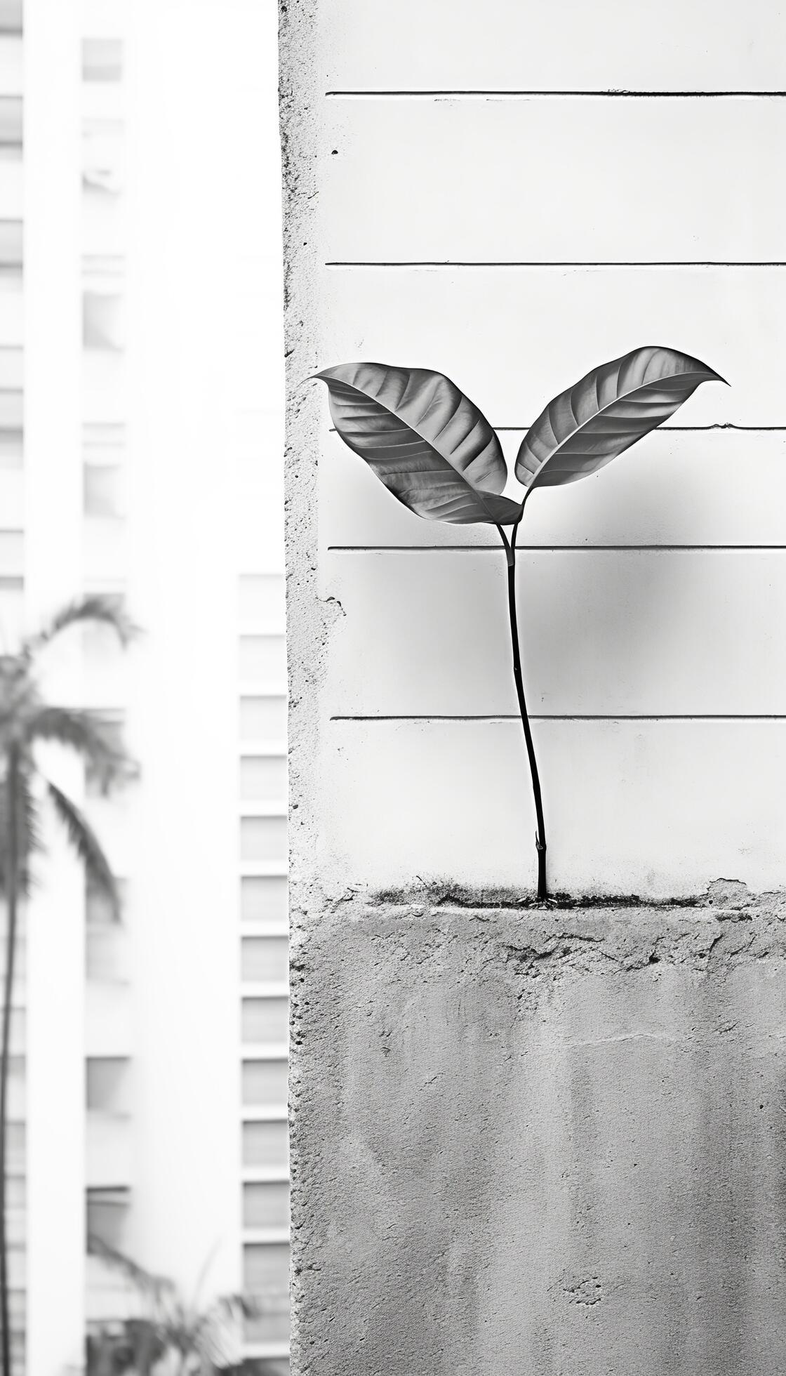 AI generated 4K colorful leaf AMOLED wallpaper 36086757 Stock Photo at