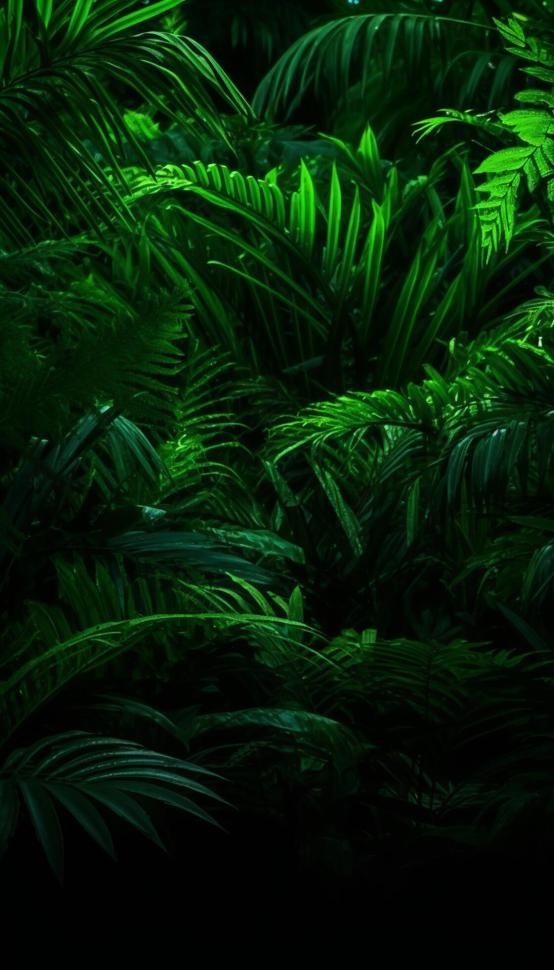 AI generated 4K colorful leaf AMOLED wallpaper 36086821 Stock Photo at