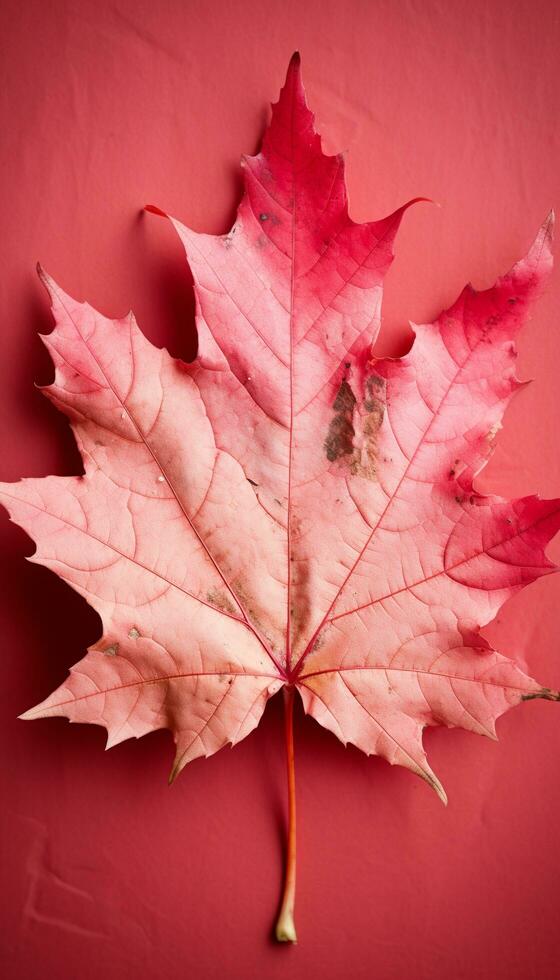 AI generated 4K colorful leaf AMOLED wallpaper photo