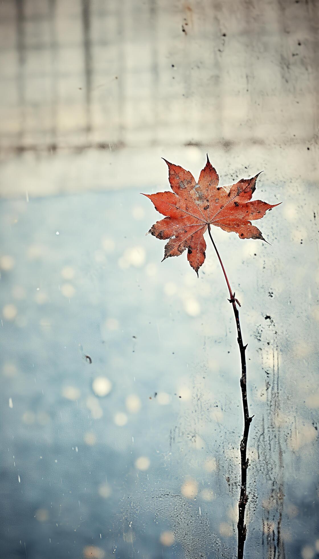 AI generated 4K colorful leaf AMOLED wallpaper 36086851 Stock Photo at