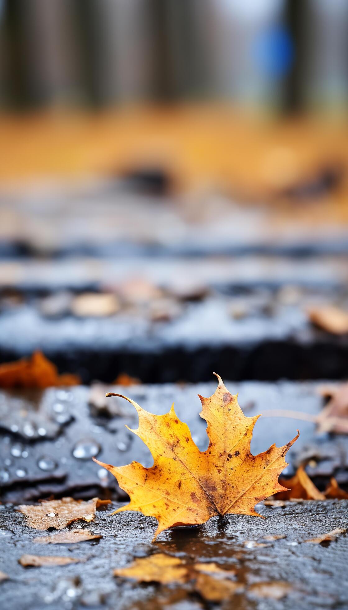 AI generated 4K colorful leaf AMOLED wallpaper 36086882 Stock Photo at