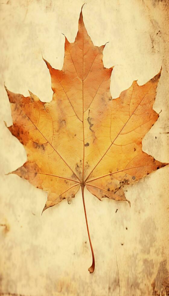 AI generated 4K colorful leaf AMOLED wallpaper for mobile photo