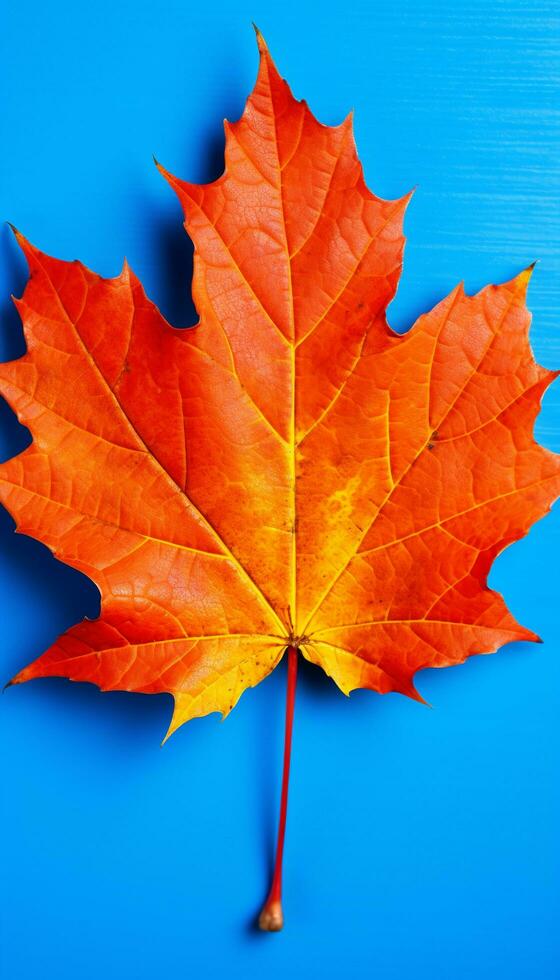 AI generated 4K colorful leaf AMOLED wallpaper for mobile photo