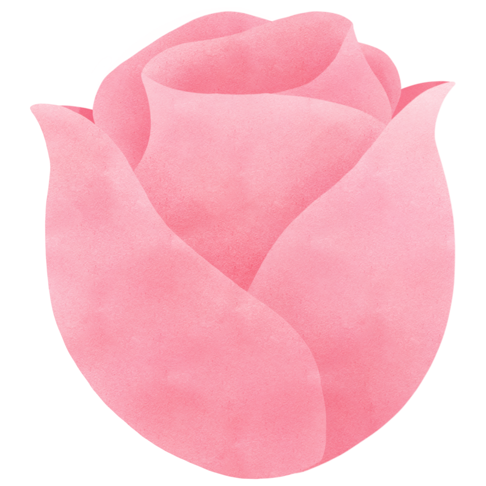 pink rose watercolor clip art 36087722 PNG