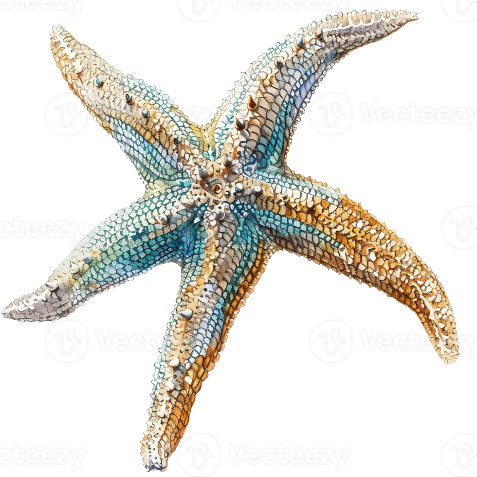 AI generated Starfish watercolor illustration. For decoration and design. png