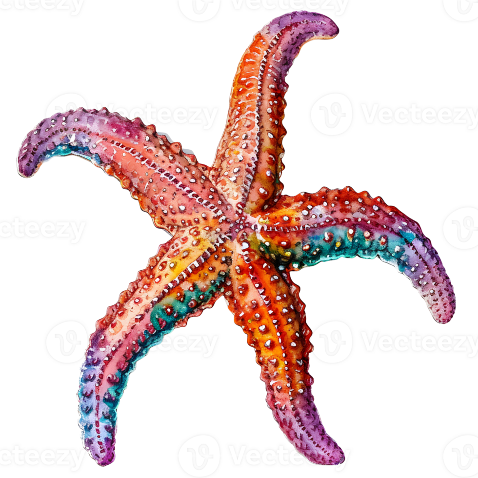 AI generated Starfish watercolor illustration. For decoration and design. png