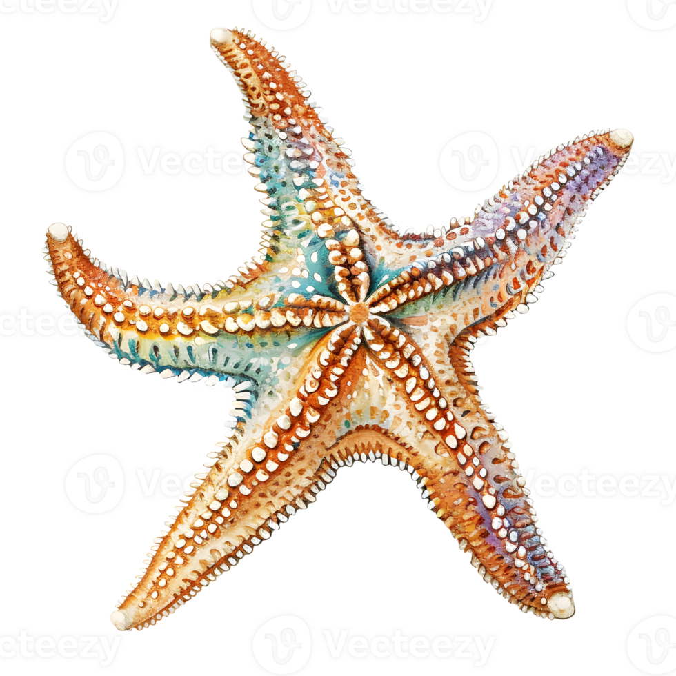 AI generated Starfish watercolor illustration. For decoration and design. png