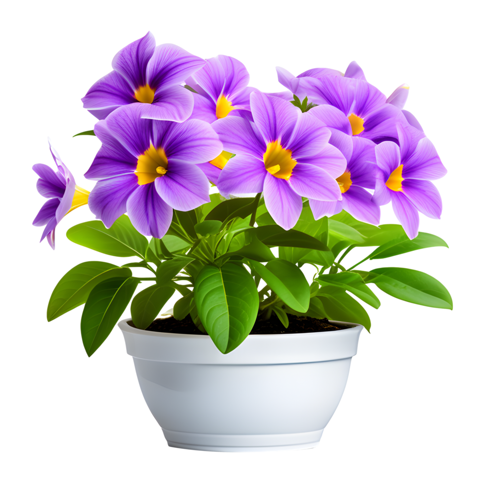 ai généré violet fleurs dans pot isolé sur transparent Contexte png