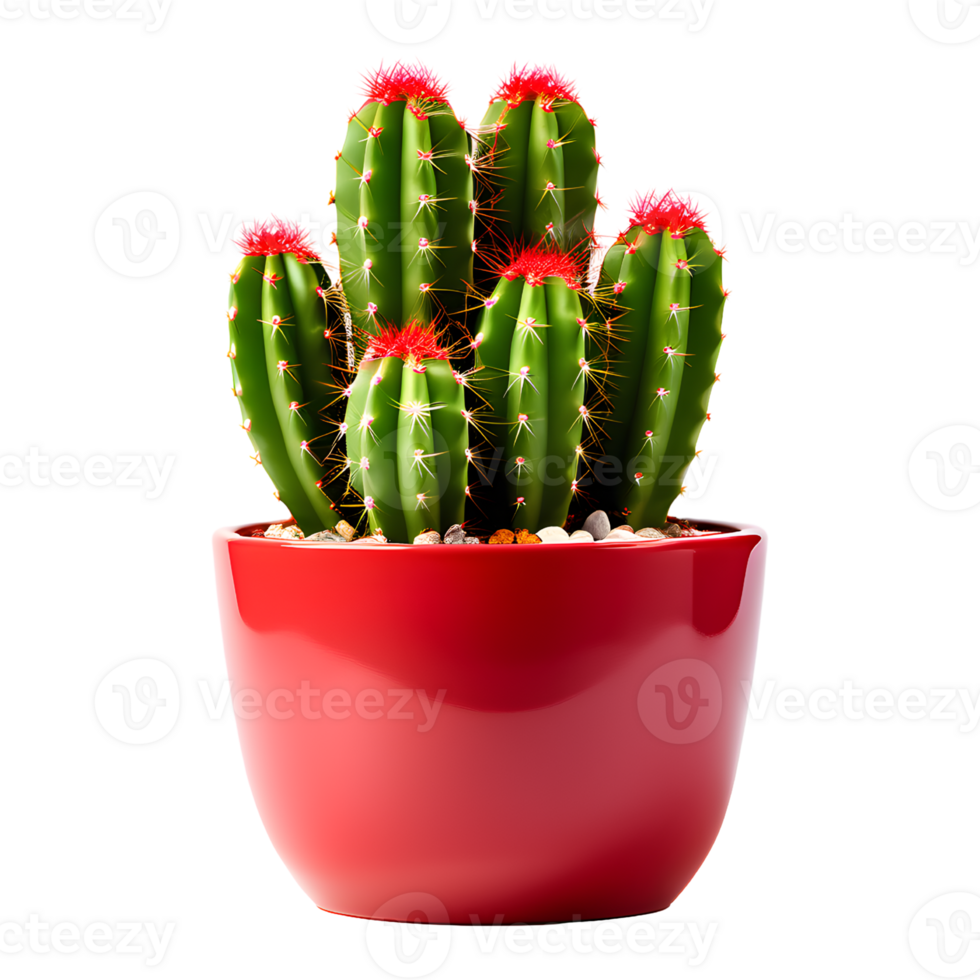 AI generated Cactus in Pot Isolated on Transparent Background png
