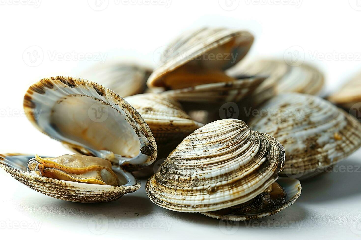 AI generated fresh raw meat baby clams in the kitchen table professional advertising food photography photo