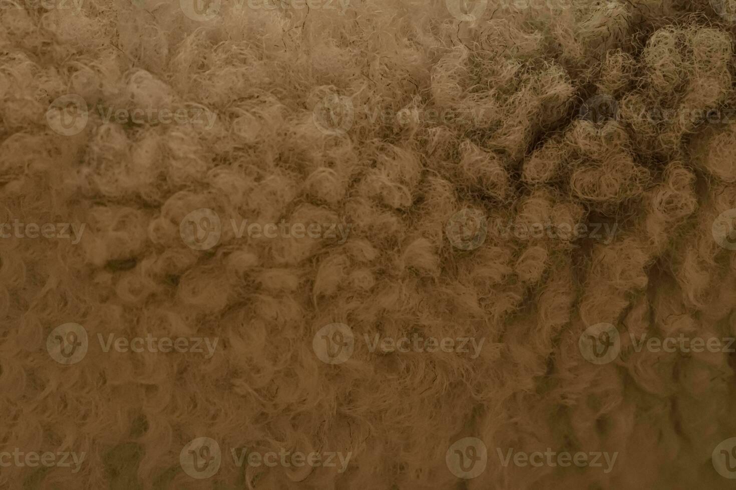 Close up of wool, texture photo
