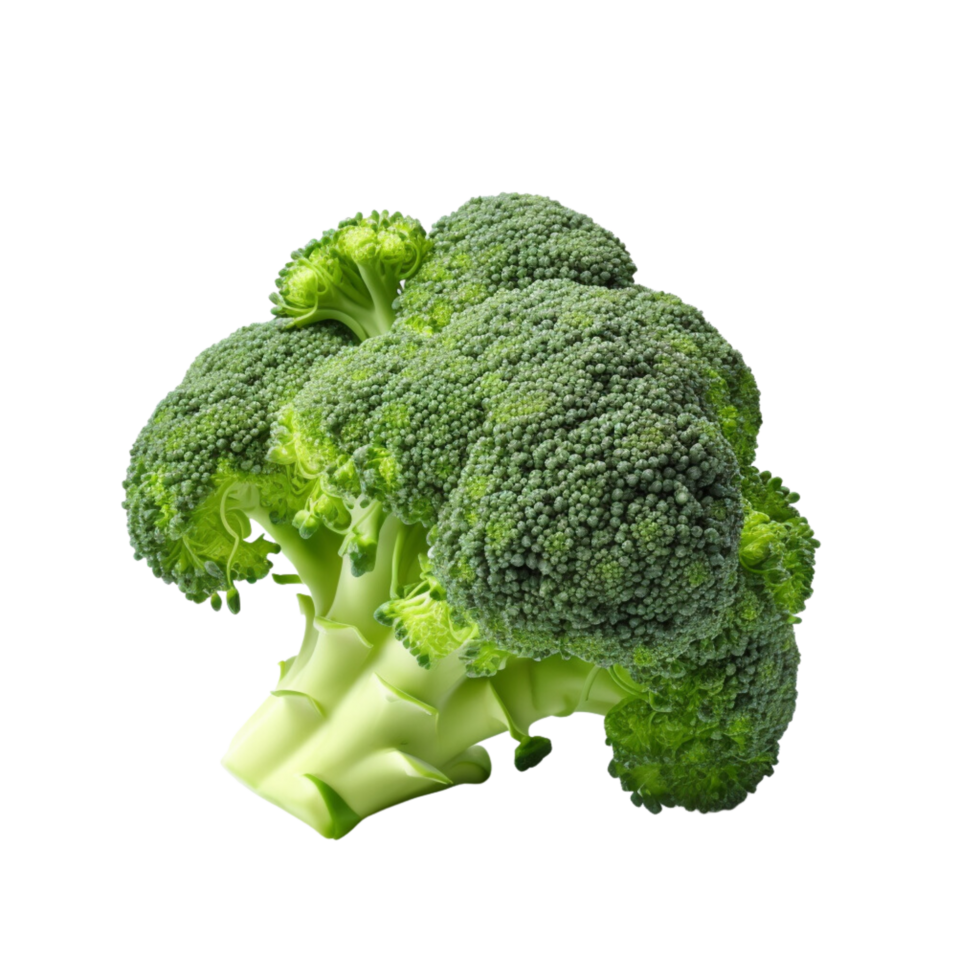 AI generated Broccoli ,transparent background. png