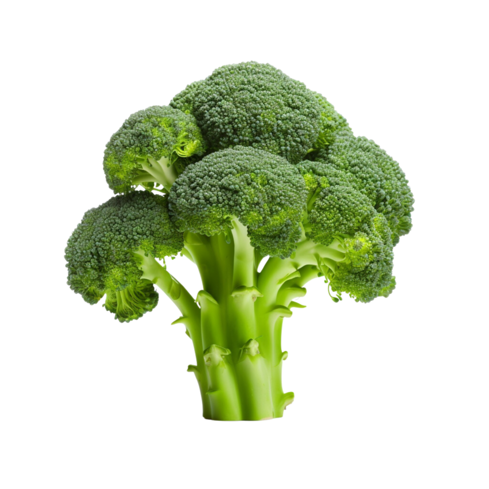AI generated Broccoli ,transparent background. png