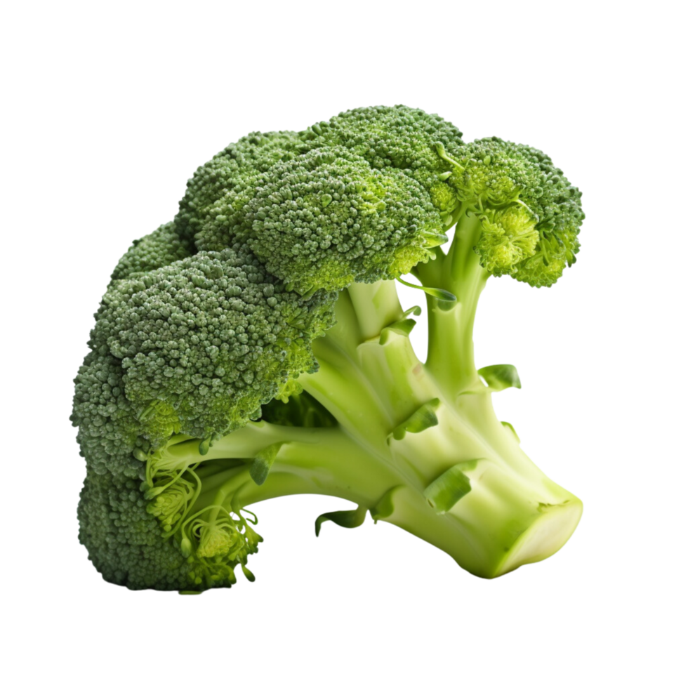 AI generated Broccoli ,transparent background. png