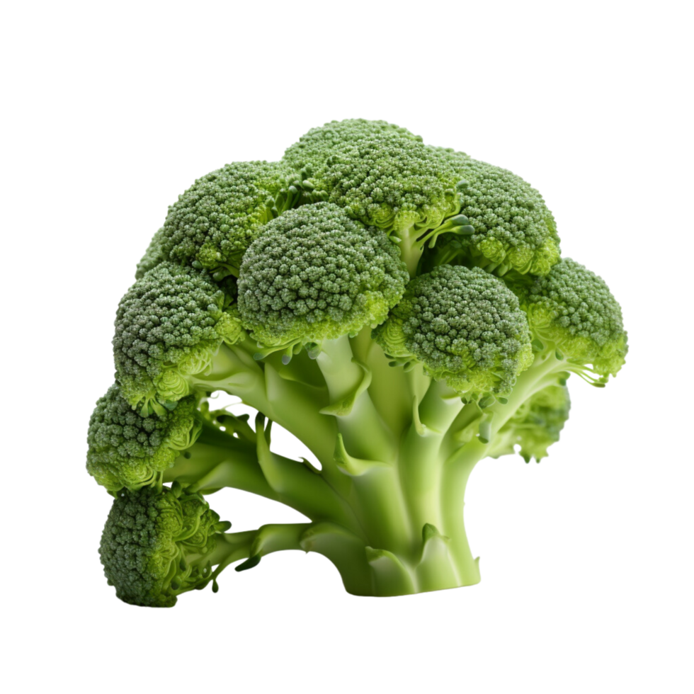 AI generated Broccoli ,transparent background. png