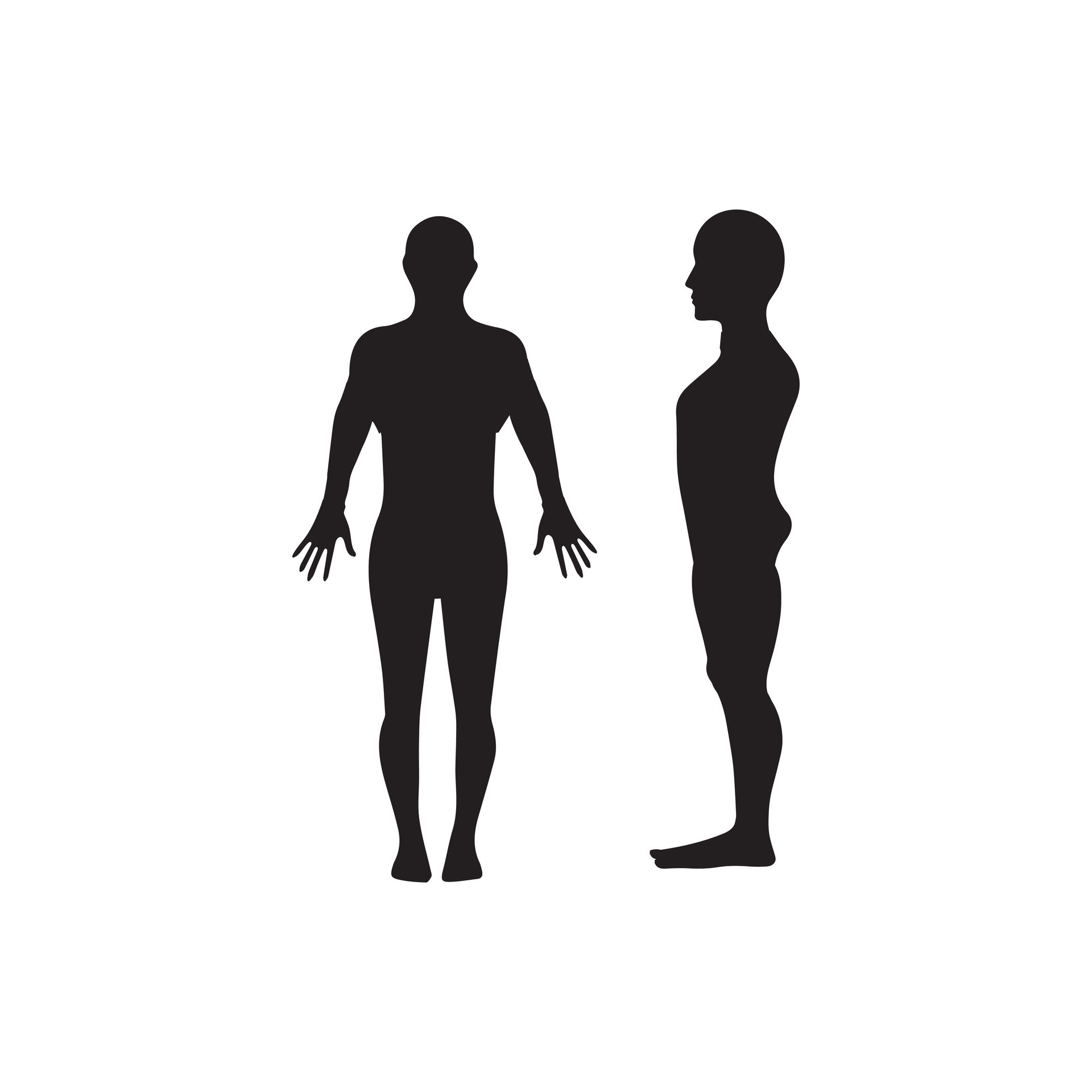 Free Vectors  Female whole body silhouette