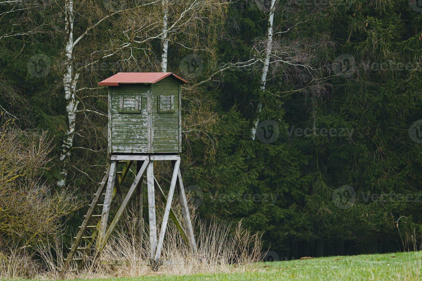Wooden lookout tower for hunting in the woods and on meadow photo