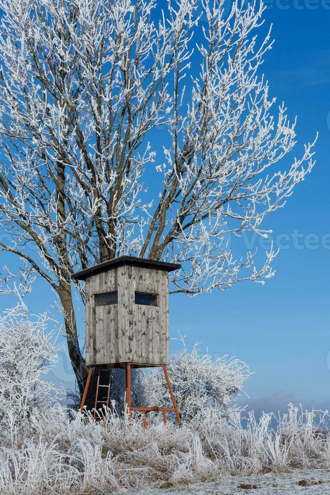 Observation post for hunters in winter photo