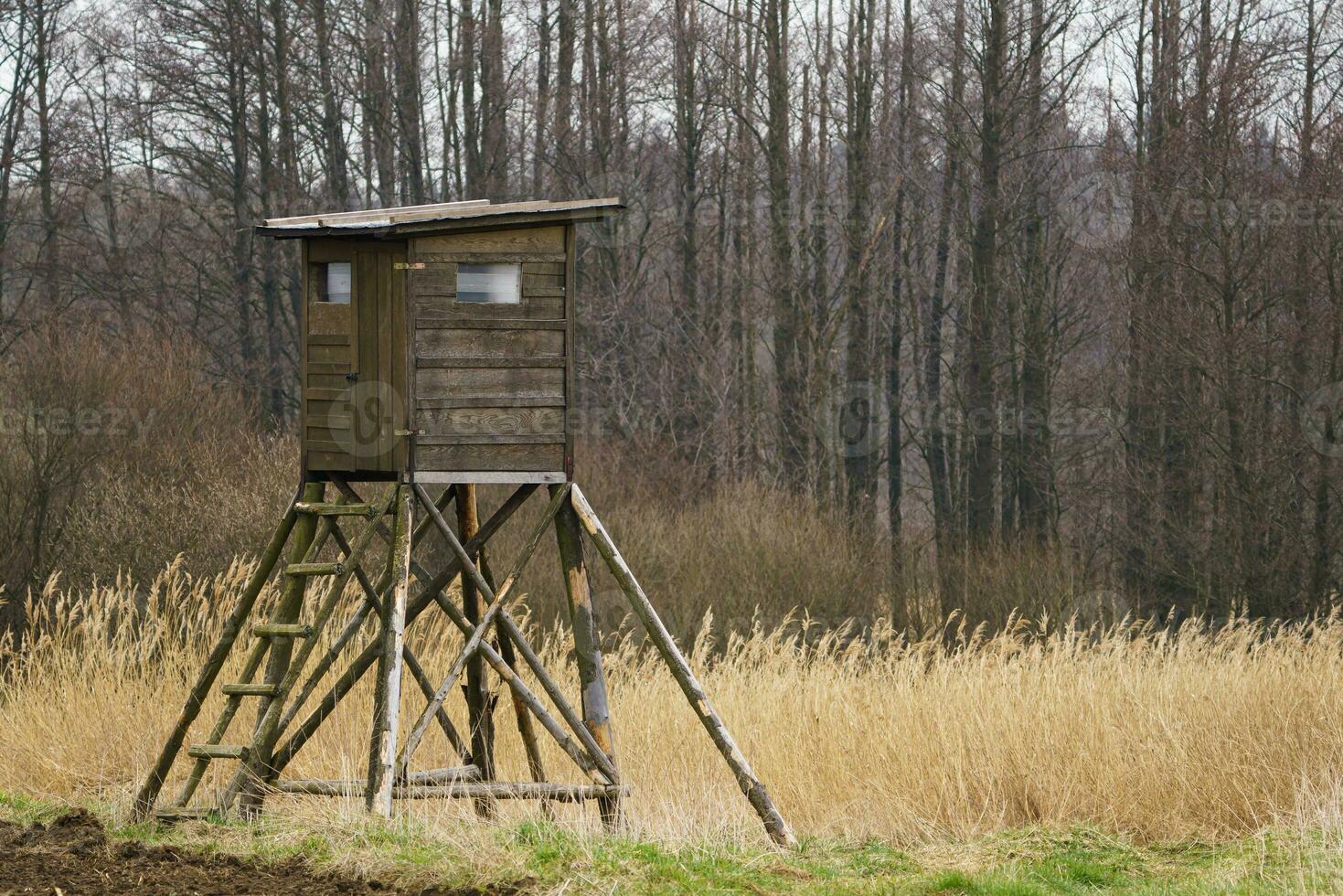 Wooden lookout tower for hunting in the woods and on meadow photo