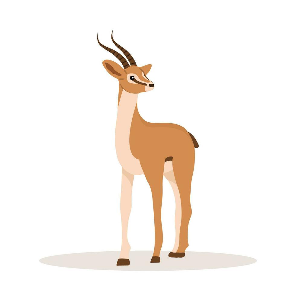 Elegant african antelope. Gazelle with horns on white background. Mammal animal. Vector illustration in flat cartoon style