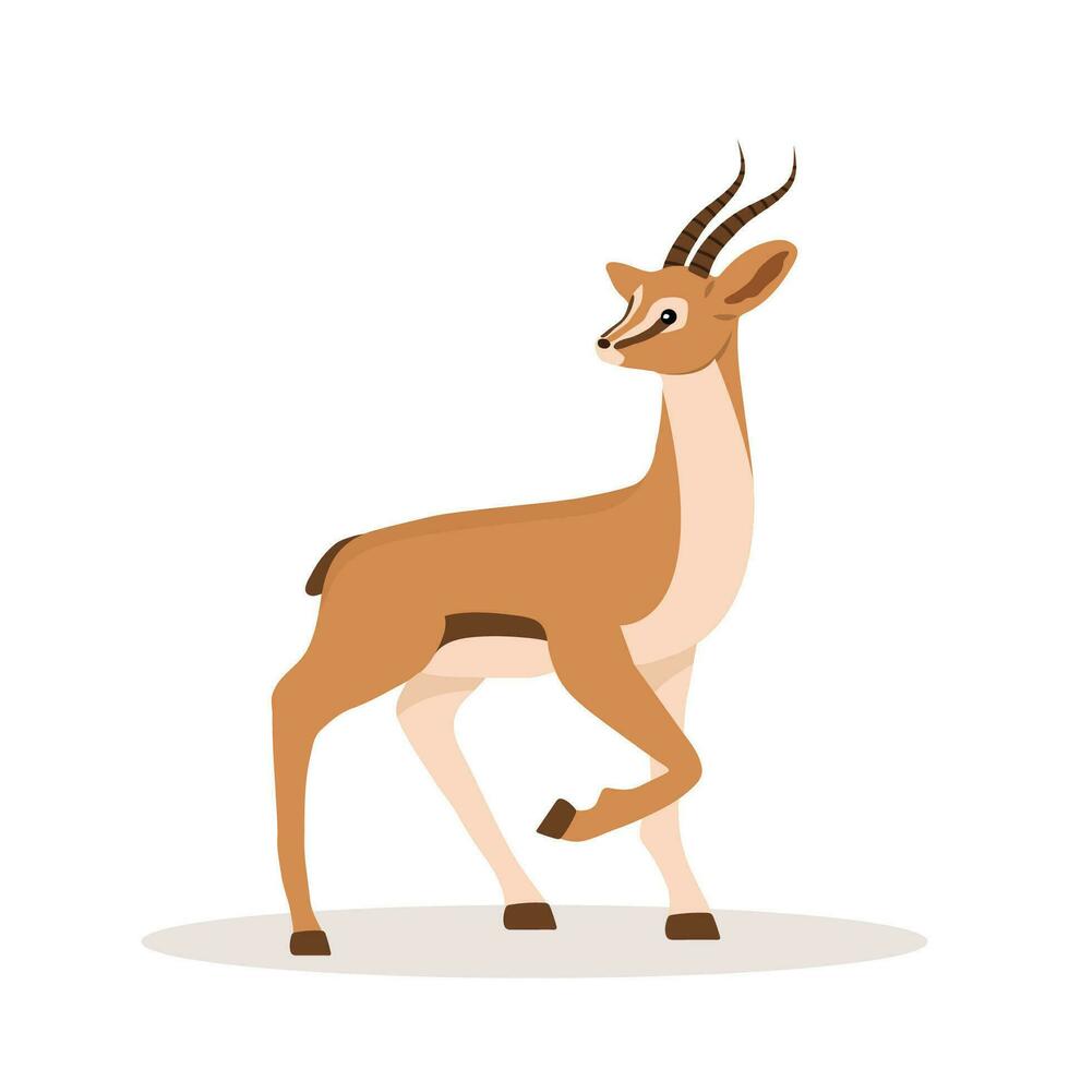Elegant african antelope. Gazelle with horns on white background. Mammal animal. Vector illustration in flat cartoon style