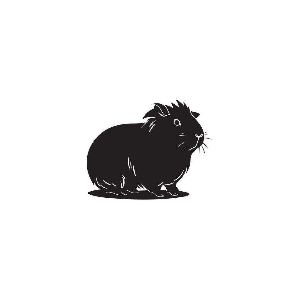 Guinea pig vector illustration on white background.