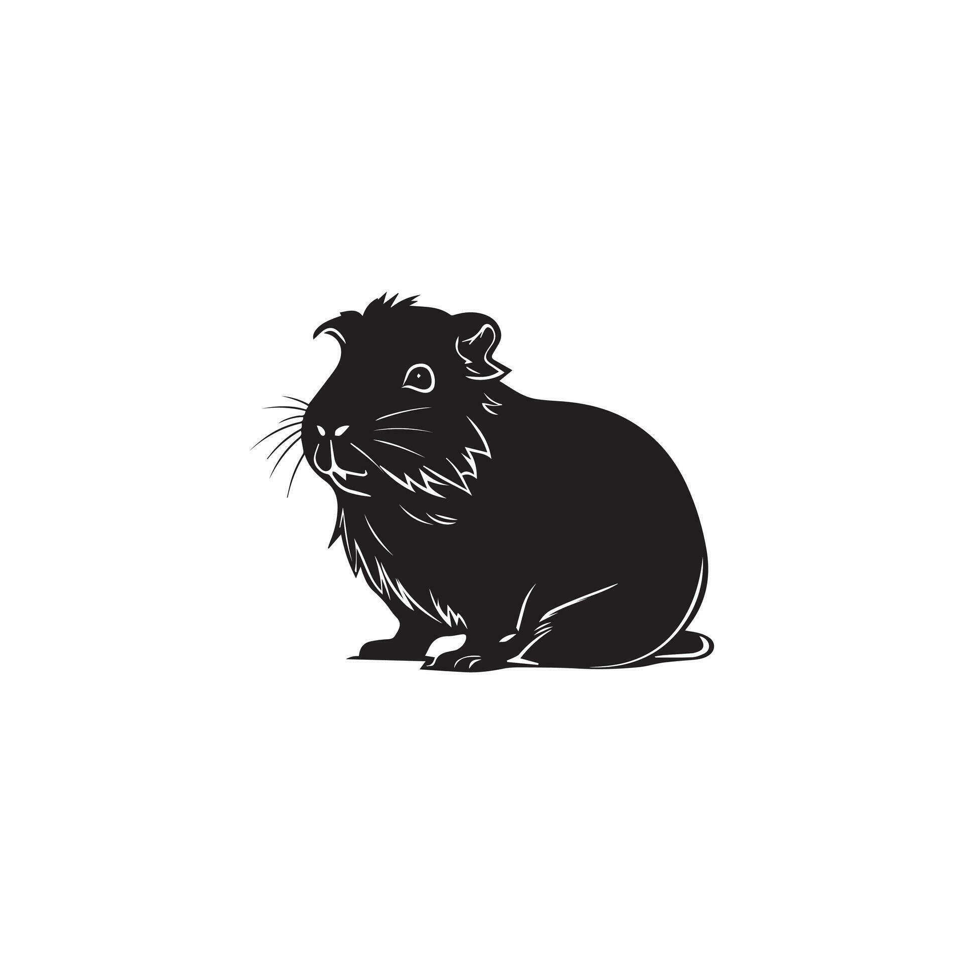 Guinea pig vector illustration on white background. 36099793 Vector Art
