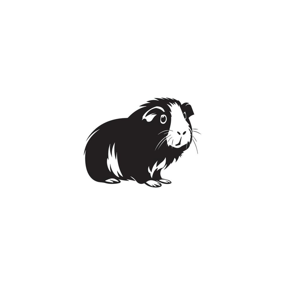 Guinea pig vector illustration on white background.