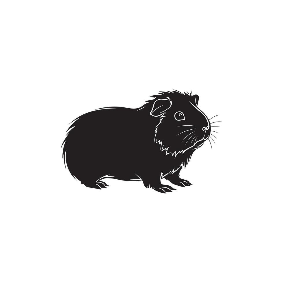 Guinea pig vector illustration on white background.