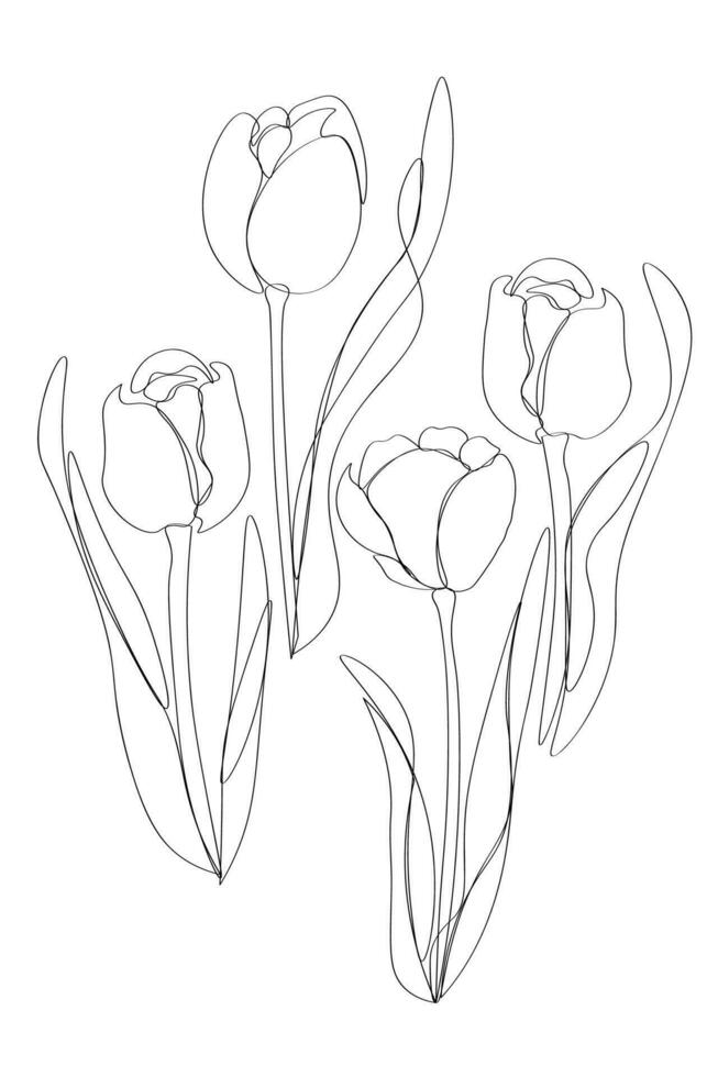 Tulips line arts plant hand drawn vector