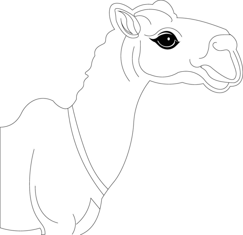 COLORING PAGES FOR KIDS AND ADULTS vector