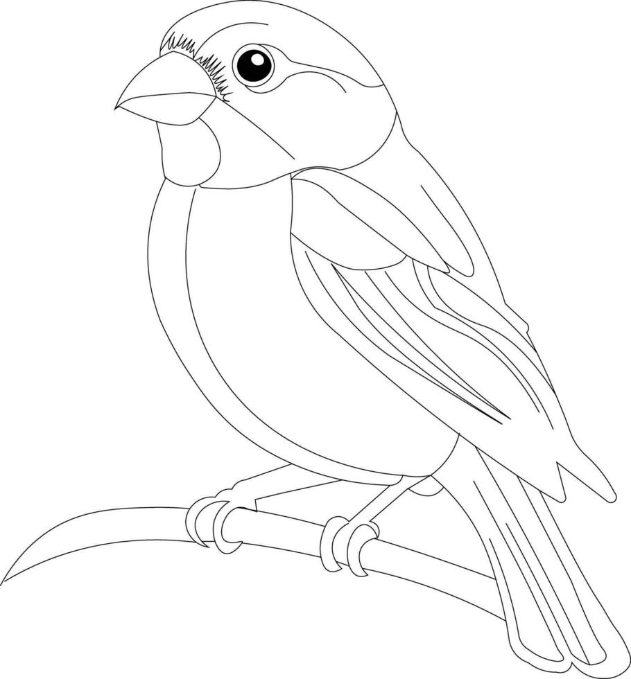 COLORING PAGES FOR KIDS AND ADULTS vector