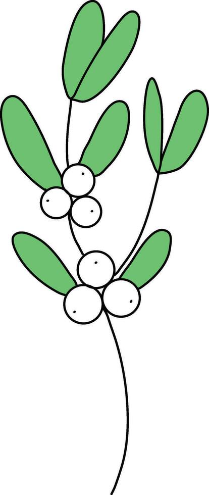 Mistletoe is drawn with simple lines, Beautiful mistletoe green leaves. decorate cards for Christmas New Year.consisting of mistletoe leaves and white berries. vector