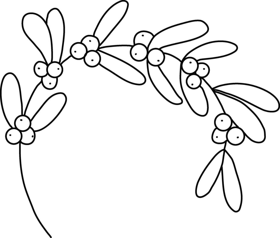 Mistletoe is drawn with simple lines, Beautiful mistletoe leaves. It is used to decorate cards for Christmas and New Year festivals. It is also used for embellishments and decorations. vector